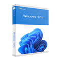 Windows 11 Professional OEM Key